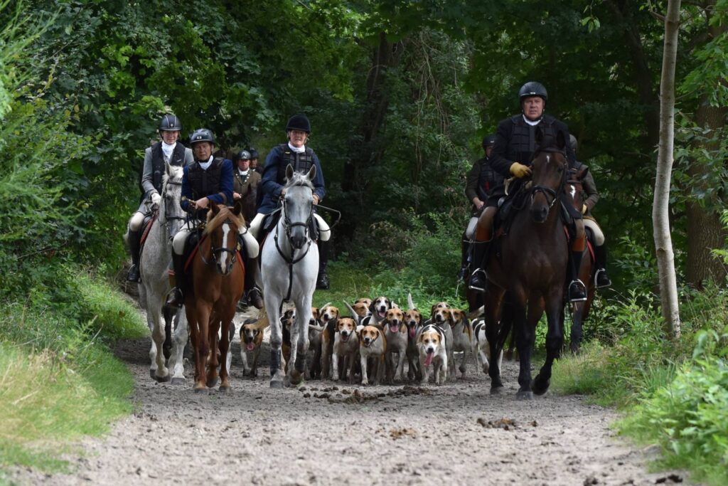 Equipage mit Meute im Appell - Haren August 2024